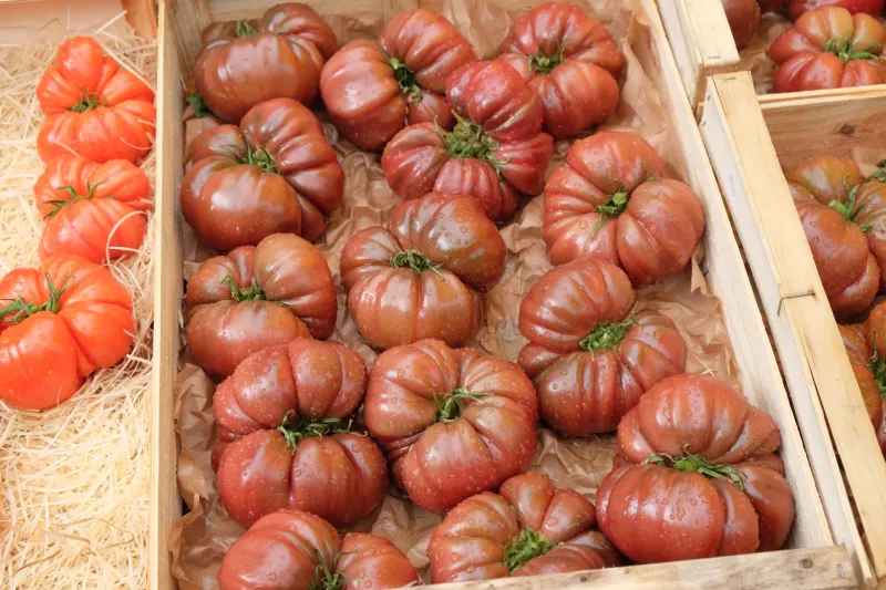 Retour des ancêtres : quand les légumes oubliés s'invitent à nouveau dans nos assiettes de bistro